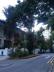 Emerald Hill Road (D9), Terrace #458872091